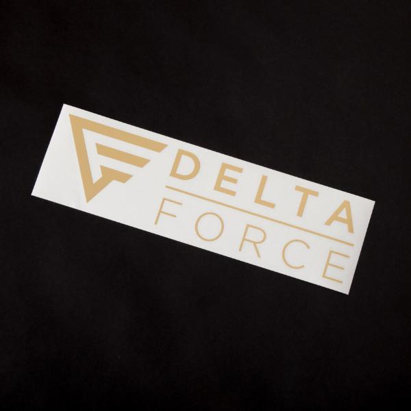 DELTA FORCE デルタフォース ロゴステッカー 大 size：350x90 3
